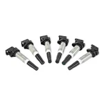 Mishimoto Mmig-bmw-0206 Ignition Coil 6-pack For 2016-2021 Bmw M2 L6 3.0l. Fixed Price $180.03.
