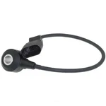 Ignition Knock (detonation) Sensor-sensor Wve 5s12491. Fixed Price $226.99.
