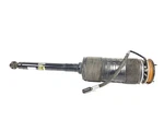 W216 Mercedes 2007 Cl550 Rear Right Abc Shock Strut Hydraulic Oem 52k. Fixed Price $375.00.
