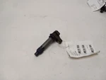 Coil Ignition Fits Chevrolet Equinox 2010 - 2024 Oem. Fixed Price $29.00.