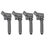 4-pack Genuine Ignition Coil Fits Vw Jetta Passat Golf Tiguan 1.8l 2.0l. Fixed Price $136.00.