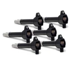 Pertronix 30946 Set Of 6 Flame Thrower Coil-on Plug For 300 / Grand Cherokee 36l. Fixed Price $223.18.