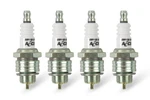 0437s-4 Accel Hp Copper Spark Plug - Shorty. Fixed Price $42.83.