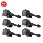 U5123 Ignition Coils (6-pack) Ngk 48929 For Nissan 350z/infiniti G35. Fixed Price $389.87.