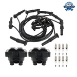 Ignition Coil Pack & Spark Plug Wire Set For Ford F150f250 Lincoln Mercury Fd487. Fixed Price $77.24.