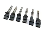 2004-2006 Porsche Cayenne (955) 3.2l Vr6 Engine Ignition Coil Set. Fixed Price $69.99.