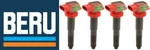 Beru Set Of 4 Ignition Coils Porsche Cayenne 08-16 V8+panamera 10-16 V8 & V6. Fixed Price $278.94.