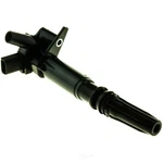 Ignition Coil 2ic470 Motorad. Fixed Price $95.28.