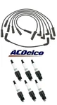 Oem Acdelco Wire & 6 Spark Plugs Kit For Chevrolet Gmc Oldsmobile 4.3. Fixed Price $120.30.