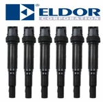 Ignition Coil Coils Set 6pcs With Spark Plug Connector Fits Bmw; Eldor The Oem. Fixed Price $212.00.