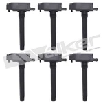 Walker Products Ignition Coil Set P N 928 4119 6. Fixed Price $182.41.