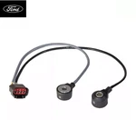 2004-2010 Ford F-250 F-350 F-450 Ignition Knock Sensor *ford Oem Fomoco* New. Fixed Price $90.00.