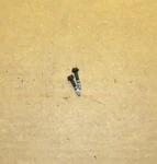 1992-1996 Corvette Ignition Module Mounting Screws Set, (2), Gm 10474609. Fixed Price $6.99.