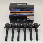 6pcs Ignition Coil 0221504029 Fits For Bmw E36 E46 E39 E38 E53 323i 528i 325xi. Fixed Price $180.00.