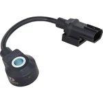 Delphi As10333 Ignition Knock (detonation) Sensor. Fixed Price $75.99.