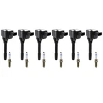 Eldor 6 Ignition Coils Bosch Platinum Spark Plugs Kit For Porsche 911 3.0l H6. Fixed Price $290.95.