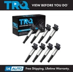 Trq Ignition Coil Set Fits 2001-2020 Bmw. Fixed Price $136.95.