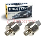 2 Pc Holstein Ignition Knock Detonation Sensors For 2002-2004 Toyota Avalon Jw. Fixed Price $66.03.
