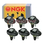6 Pc Ngk Ignition Coil For 2002-2005 Chevrolet Trailblazer 4.2l L6 Spark Plug Gz. Fixed Price $310.00.
