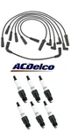 Oem Acdelco Wire & 6 Spark Plugs Kit For Chevrolet Gmc Oldsmobile 4.3. Fixed Price $119.00.