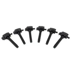 Mishimoto Mmig-wra-1206 Ignition Coil. Fixed Price $166.94.