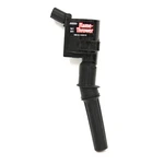 Pertronix Ignition Coil 30721; Flamethrower 30000v For 98-08 Ford 4.6/5.4/6.8 2v. Fixed Price $27.99.
