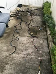 11-13 Toyota Scion Tc Body Floor Wire Wiring Harness 82162-21170 82141-21b50. Fixed Price $250.00.