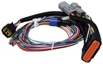 Msd Power Grid Replacement Wiring Harness 7780. Fixed Price $204.95.