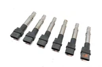 2003-2010 Porsche Cayenne Carerra Gt (955 957) 3.6l / 4.5l Ignition Coil Set. Fixed Price $71.24.