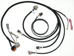 Daytona Sensors Smartspark Ls2/ls7 Remote Mnt Wire Harness. Fixed Price $234.78.
