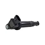 Mando 21a0102 Direct Ignition Coil For 06-07 Hyundai Kia Optima Santa Fe. Fixed Price $37.53.