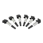 Mishimoto Mmig-bmw-0206 Ignition Coil. Fixed Price $179.94.