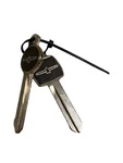 Ford Thunderbird 1978 Diamond Jubilee Woodgrain Key Blank Set Fits All 1965-1984. Fixed Price $90.00.