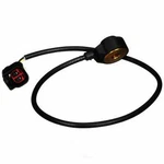 Ignition Knock (detonation) Sensor-sensor Delphi As10265. Fixed Price $36.00.