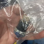 Parking Brake Light Pressure Switch 2749-2108 For Freightliner Fsc-2749-2108. Fixed Price $15.00.