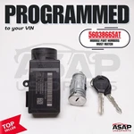 56038665at Chrysler 300 Charger Magnum 2005-2007 Skim Receiver Module Plug N Go. Fixed Price $239.99.