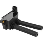 Holstein 2igc0173 Ignition Coil. Fixed Price $75.08.
