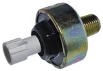 Ignition Knock (detonation) Sensor-sensor Only Walker Products 242-1021. Fixed Price $47.86.