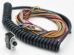 Dedenbear Ik. Fixed Price $142.99.
