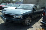 Distributor 6-232 Fits 88-95 Cougar. Fixed Price $72.79.