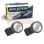 2 Pc Holstein Ignition Knock Detonation Sensors For 2005-2022 Chrysler 300 Nw. Fixed Price $33.16.