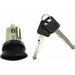 For Ford Crown Victoria Ignition Lock Cylinder 1996-2004. Fixed Price $31.27.
