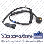 Ignition Knock Detonation Sensor For 07 10 Hyundai Entourage 3.8l. Fixed Price $48.99.