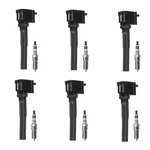 Denso 6 Ignition Coil Ngk Ruthenium Spark Plugs Kit For Expedition F-150 V6. Fixed Price $338.95.
