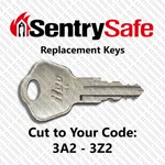 Sentry Safe Replacement Key Cut To Your Code 3a2 - 3z2. Fixed Price $6.99.