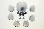 Pioneer Pe-125-r Engine Expansion Plug Kit. Fixed Price $17.99.