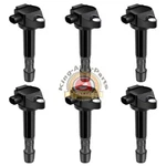 6 Ignition Coil Pack For Acura Rlx Tlx Honda Pilot Odyssey 30520-5g0-a01 Uf713. Fixed Price $75.99.