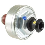 Ignition Knock (detonation) Sensor-sensor Wve 5s2178. Fixed Price $39.38.