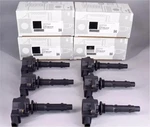 6pcs Genuine Oem Ignition Coil For Mercedes A2729060060 W164 W209 W216 W230. Fixed Price $122.69.
