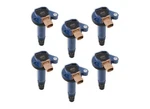 Accel 140646b-6 Supercoil Direct Ignition Coil Set. Fixed Price $299.95.
